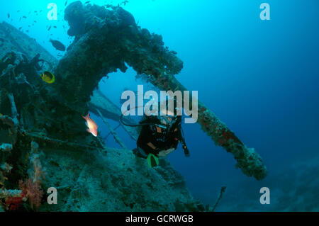 Femmina scuba diver al anti-aerei pistola sul relitto del Thistlegorm (armate britanniche Marina Mercantile nave), Mar Rosso, Egitto Foto Stock