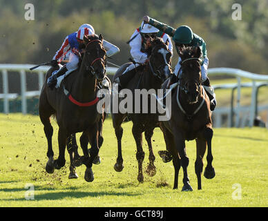 Horse Racing - Leicester Racecourse Foto Stock