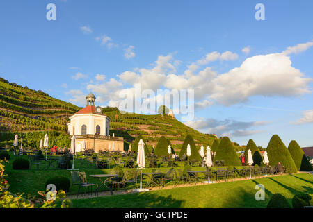 Radebeul Belvedere in Stato della Sassonia Waccurbarth Cantina Castello con vigneti Germania Sachsen, Sassonia Foto Stock