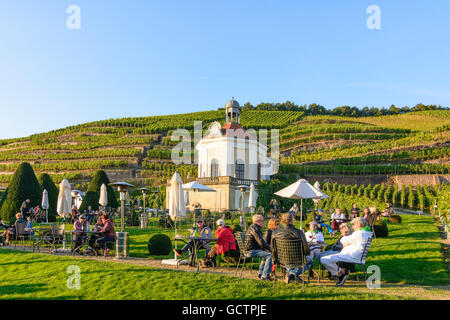 Radebeul Belvedere in Stato della Sassonia Waccurbarth Cantina Castello con vigneti Germania Sachsen, Sassonia Foto Stock