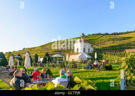 Radebeul Belvedere in Stato della Sassonia Waccurbarth Cantina Castello con vigneti Germania Sachsen, Sassonia Foto Stock