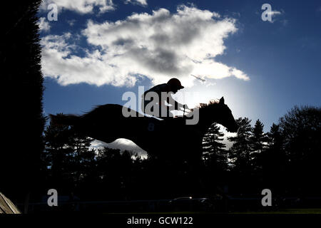 Horse Racing - Ludlow Racecourse Foto Stock