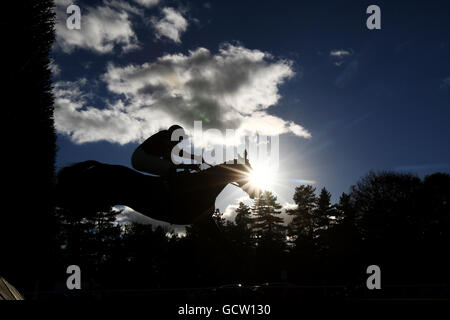 Azione dall'Associazione dilettanti jockeys Andicap Chase dei Riders dilettanti Foto Stock