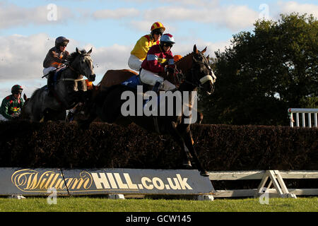 Horse Racing - Ludlow Racecourse Foto Stock