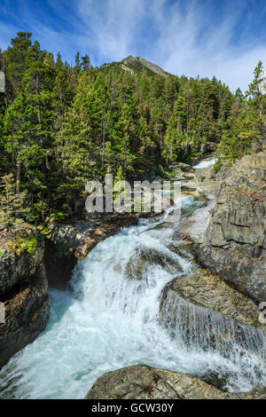 Cascate lungo il dolce erba creek in pazza montagna vicino melville, montana Foto Stock