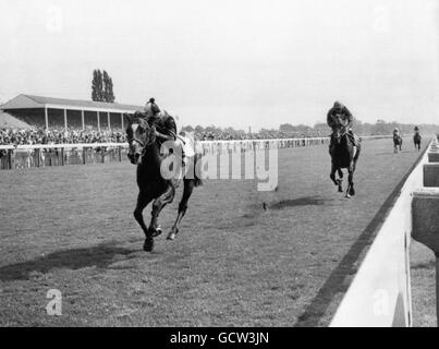 Horse Racing - Benson e siepi Gold Cup - York Racecourse Foto Stock