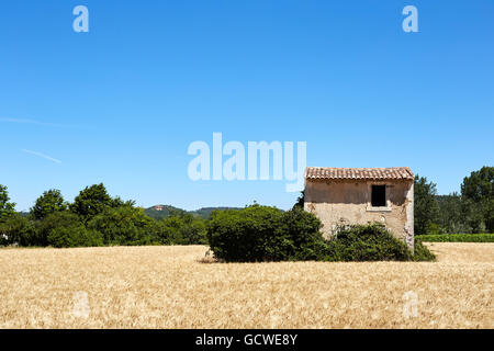 Piccola casa in mezzo a un campo di grano Foto Stock