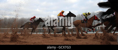 Cavalli nella SCOMMESSA SP+ per vittorie più grandi a totesport.com Frittelle per handicap (Div II) Foto Stock