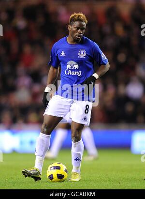 Calcio - Barclays Premier League - Sunderland contro Everton - Stadio di luce. Louis Saha, Everton Foto Stock