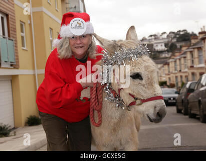 Strictly come Dancing contestant Ann Widdebbe con asino dove, durante una fotocellula per lanciare la campagna di Natale per la sua carità preferita Safe Haven per asini in Terra Santa, fuori Deborah Bond Dance School a Newton Abbott, Devon. Foto Stock