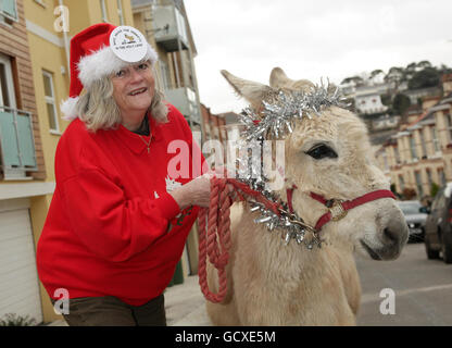 Strictly come Dancing contestant Ann Widdebbe con asino dove, durante una fotocellula per lanciare la campagna di Natale per la sua carità preferita Safe Haven per asini in Terra Santa, fuori Deborah Bond Dance School a Newton Abbott, Devon. Foto Stock