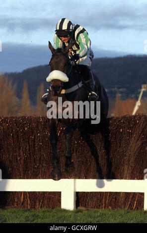 Horse Racing - Cheltenham Racecourse Foto Stock