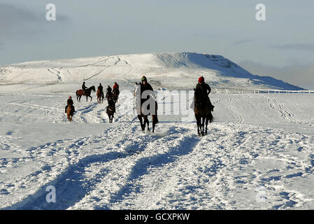 I cavalli si allenano nella neve sulle galoppe a Middleham Moor. Foto Stock