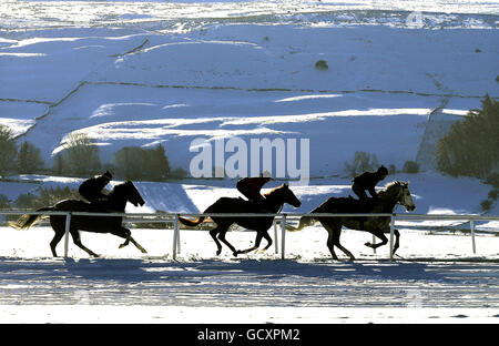 Tempo invernale 3 dicembre. I cavalli si allenano nella neve sulle galoppie a Middleham Moor. Foto Stock
