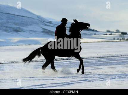 I cavalli si allenano nella neve sulle galoppe a Middleham Moor. Foto Stock
