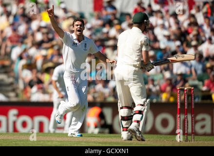 Cricket - Serie 2010 ceneri - terzo Test Match - Day One - Australia / Inghilterra - The WACA. James Anderson in Inghilterra celebra il picket di Brad Haddin in Australia durante la terza partita di Ashes Test al WACA di Perth, Australia. Foto Stock
