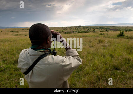 Spotting guida alla fauna selvatica, Masai Mara riserva nazionale, Kenya, Africa Foto Stock