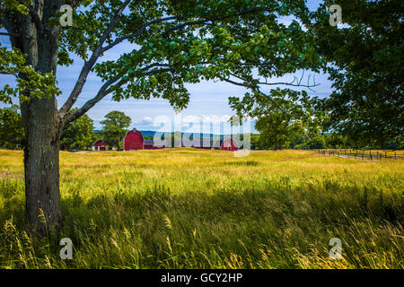 Red fienili di Knox agriturismo Parco dello Stato nella città di East Aurora nella parte occidentale dello stato di New York Foto Stock