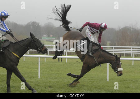 Robbie Power cade da Saludos dando la guida a Realt Dubh e jockey Paul Carberry all'ultimo recinto nel Bord na Mona con Nature Novice Chase durante il giorno di Bord na Mona del Festival di Natale all'Ippodromo di Leopardstown, Dublino, Irlanda. Foto Stock