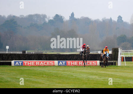 Horse Racing - National Hunt - Lingfield Park Foto Stock