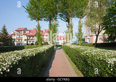 Vicolo con siepe di fioritura ed edificio di appartamenti in città Wladyslawo, Polonia Foto Stock