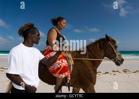 Passeggiate a cavallo a sabbia Rosa Beach. Dunmore Town, Harbour Island, Eleuthera. Bahamas Foto Stock