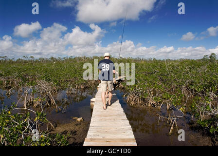 Grand Bahama, Bahamas. Percorso di mangrovie. Esplorare il Parco nazionale Lucayan. Grand Bahama Island, Old Freetown. La passerella attraverso M Foto Stock