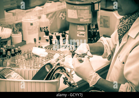 CHIANG MAI, Thailandia - Giugno 15, 2016: medici esperti nella sala di controllo sangue miscelato in prova clinica multidisciplinare Cente Foto Stock