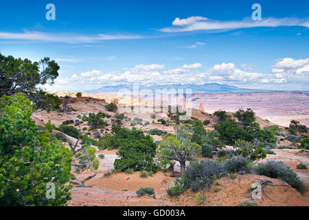 Mesa Arch nel Parco Nazionale di Canyonlands in Utah Foto Stock