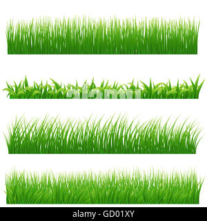 Erba verde confini impostato su bianco. illustrazione Foto Stock