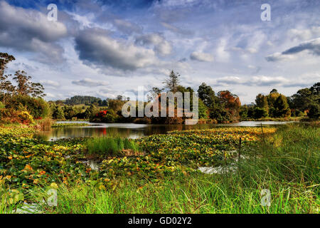 I colori autunnali presso l'Arboretum Foto Stock