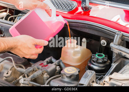 Auto di servizio del liquido di raffreddamento nel motore Foto Stock