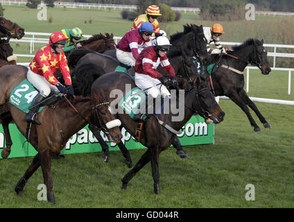 Corridori e piloti nel Paddy Power Steeplechase handicap durante il quarto giorno del Festival di Natale all'ippodromo di Leoparstown, Dublino, Irlanda. Foto Stock