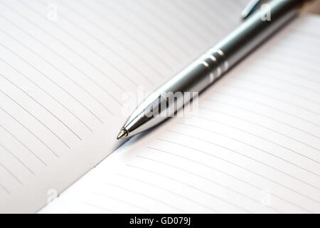 Pen giacente sul notebook con strisce Foto Stock