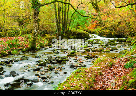 Aira Beck nel Parco nazionale del Lake District vicino Dockray, Cumbria, Inghilterra. Foto Stock