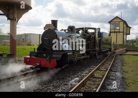 Treno a vapore sulla bure Valley 15 pollici (381mm) calibro minimo ferroviaria patrimonio in Alysham, Norfolk, Inghilterra Foto Stock