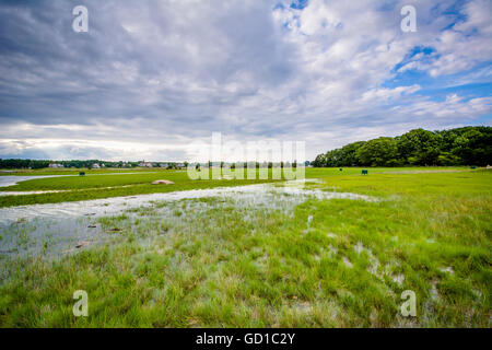 Marsh a Odiorne Point State Park, nella segale, New Hampshire. Foto Stock