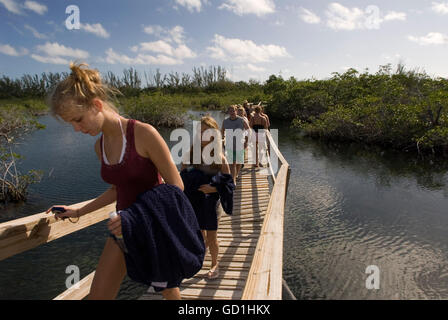 Grand Bahama, Bahamas. Percorso di mangrovie. Esplorare il Parco nazionale Lucayan. Grand Bahama Island, Old Freetown. La passerella attraverso la palude di mangrovie nel Parco nazionale Lucayan Foto Stock