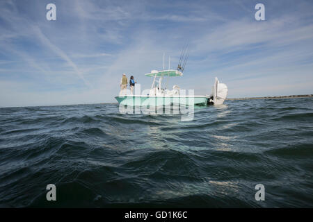 Pesca al largo della costa di Cape Cod, Massachusetts, Stati Uniti d'America Foto Stock