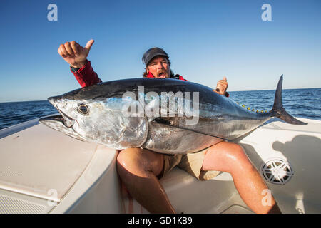 La pesca di false albacora al largo di Cape Cod, Massachusetts, Stati Uniti d'America Foto Stock