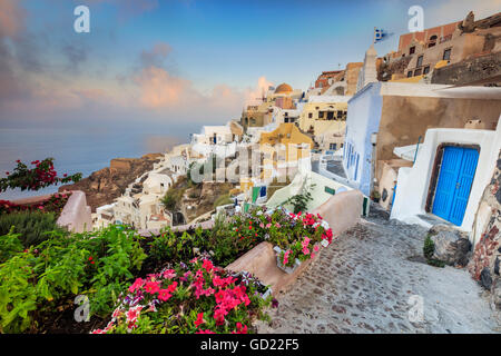 Fiori di bouganville e tipiche case sul Mare Egeo a sunrise, Oia - Santorini, Cicladi, isole greche, Grecia, Europa Foto Stock