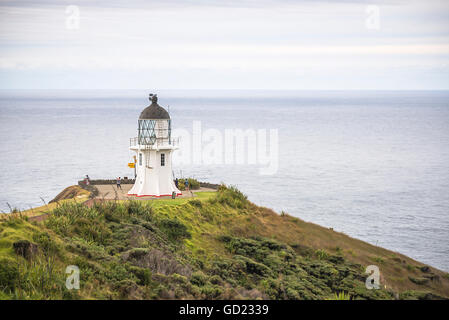 Cape Reinga Lighthouse (Te Rerenga Wairua faro), Aupouri Penisola, Northland e North Island, Nuova Zelanda, Pacific Foto Stock