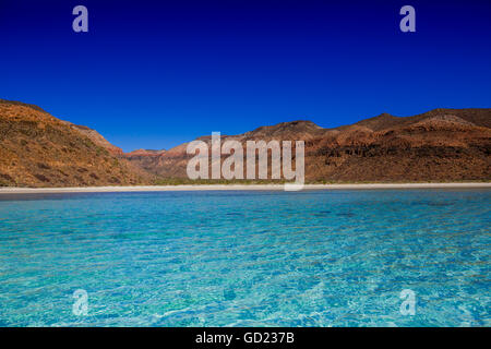 Isla del Espiritu Santo, Baja California Sur, Messico, America del Nord Foto Stock