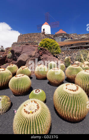 Il giardino dei Cactus Jardin de Cactus da Cesar Manrique, mulino a vento, Riserva della Biosfera dall'UNESCO, Guatiza, Lanzarote, Isole Canarie, Spagna Foto Stock