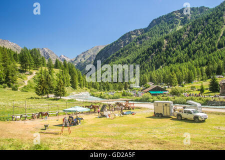 Valle di Valnontey (vicino a Cogne) nel Parco del Gran Paradiso, Valle d'Aosta, Italia. Foto Stock
