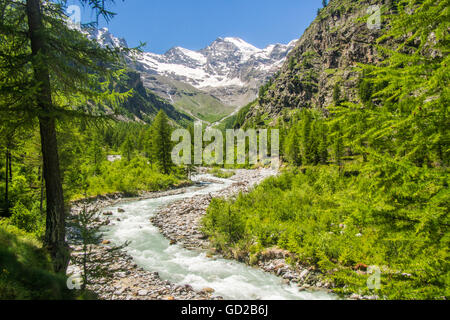 Valle di Valnontey (vicino a Cogne) nel Parco del Gran Paradiso, Valle d'Aosta, Italia. Foto Stock