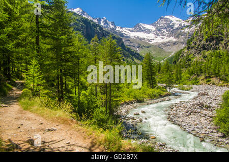 Valle di Valnontey (vicino a Cogne) nel Parco del Gran Paradiso, Valle d'Aosta, Italia. Foto Stock