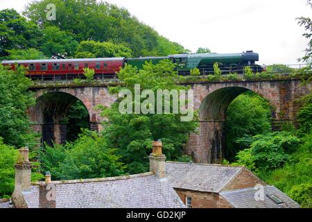 Treno a vapore LNER A3 classe 4-6-2 n. 60103 Flying Scotsman. Fiume Gelt ponte ferroviario, Brampton, Cumbria, Inghilterra, Regno Unito. Foto Stock