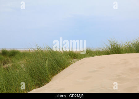 Dune lungo la costa del Mare del Nord sulla isola tedesca di Borkum Foto Stock