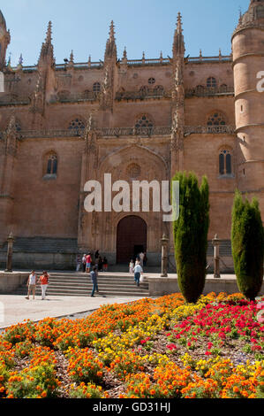 La facciata della cattedrale. Salamanca, Spagna. Foto Stock